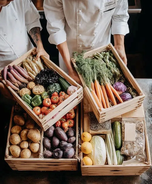 INGREDIENTES FRESCOS